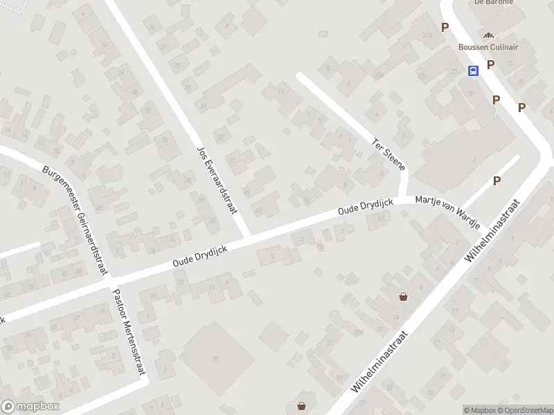 Overlastmelding Oude Drydijck in Sint Jansteen
