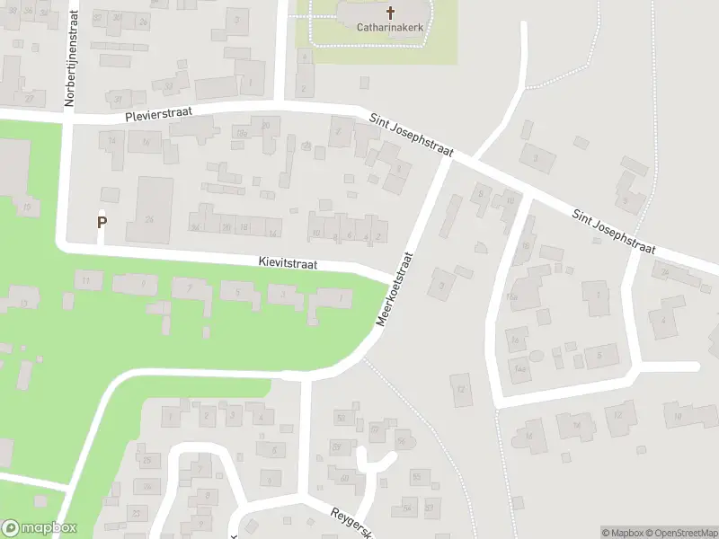 Overlastmelding Kievitstraat in Hengstdijk gesloten