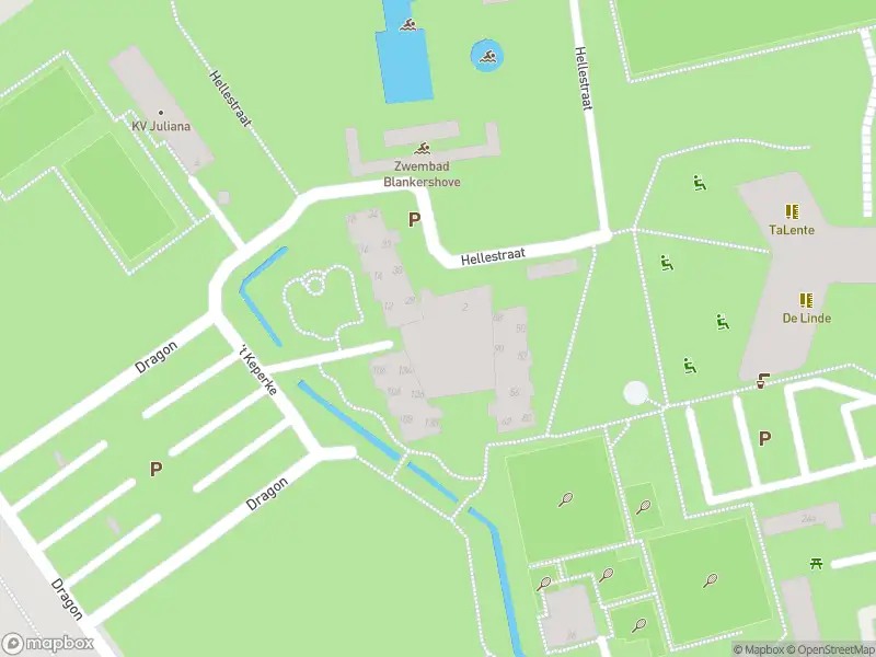 Brandweer met gepaste spoed naar de Dragon in Oud Gastel