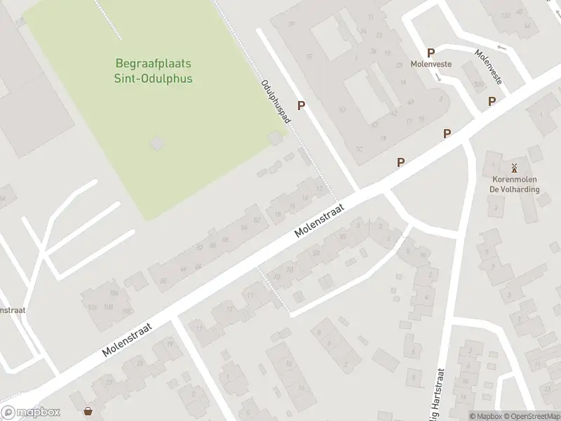 Overlastmelding Molenstraat in Best