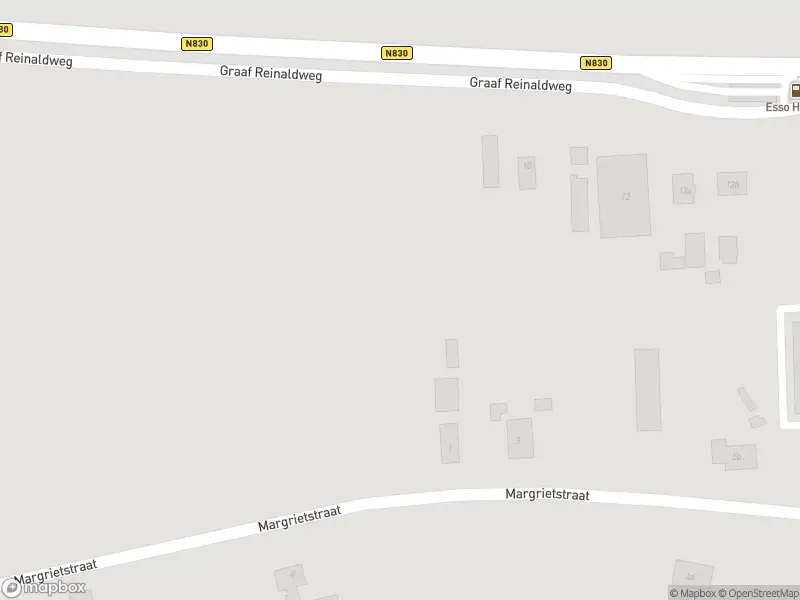 Brandweer met gepaste spoed naar de Waalbandijk in Haaften
