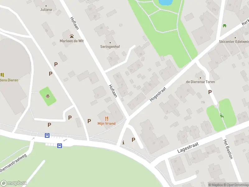 Overlastmelding Hoflaan in Dieren