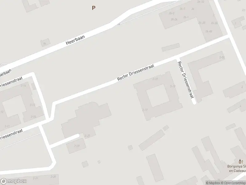 Ambulance met grote spoed naar de Rect. Driessenstraat in Heel