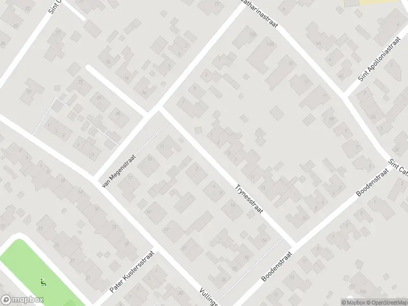 Ambulance met gepaste spoed naar de Trynesstraat in Leunen