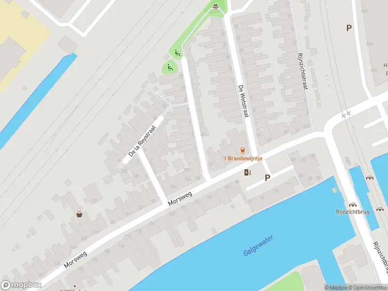 Brandweer met gepaste spoed naar de Reitzstraat in Leiden