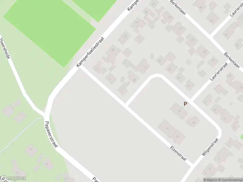 Overlastmelding Elzenstraat in Sint-Michielsgestel