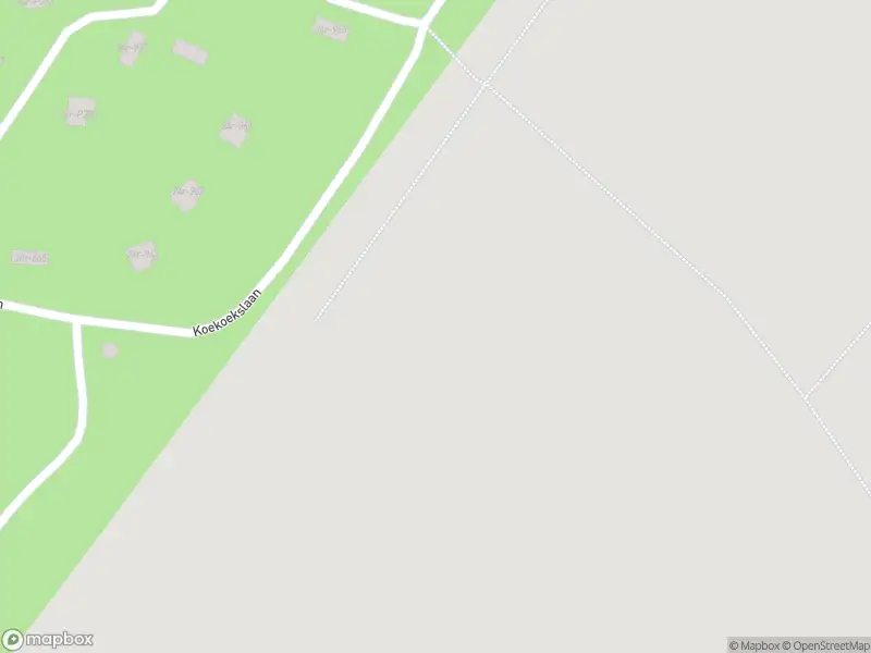 Ambulance en brandweer met grote spoed naar de Oude Arnhemse Bovenweg in Doorn
