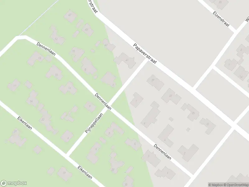 Overlastmelding Pijnappellaan in Sint-Michielsgestel