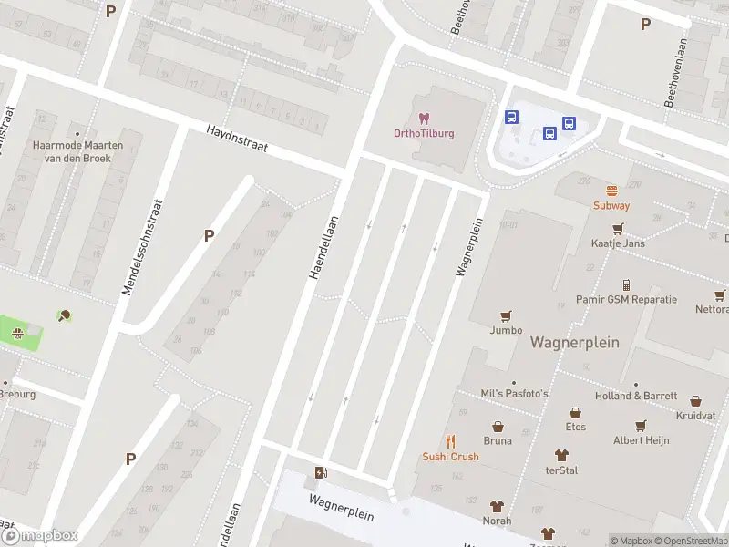Overlastmelding Haendellaan in Tilburg