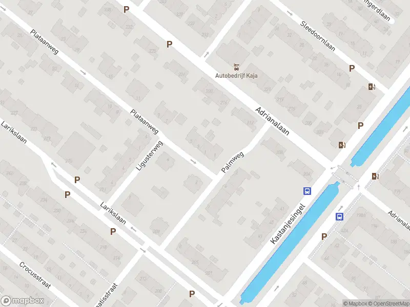 Ambulance met grote spoed naar de Plataanweg in Rotterdam