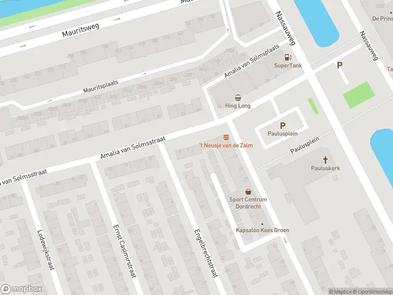 Ambulance met gepaste spoed naar de Amalia van Solmsstraat in Dordrecht