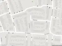 Overlastmelding Zilvermeeuw in Oud-Beijerland gesloten