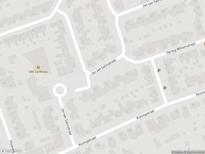 Overlastmelding Hertog Willemstraat in Born