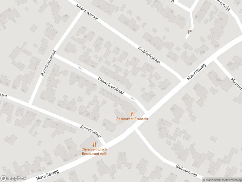 Politie naar de Catuvolcusstraat in Stein vanwege schietincident