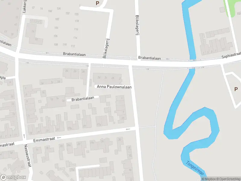 Overlastmelding Anna Paulownalaan in Waalre