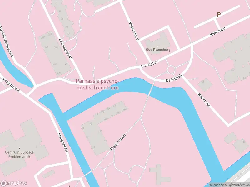 Ambulance met gepaste spoed naar de Papajastraat in 's-Gravenhage