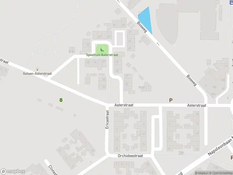 Overlastmelding Asterstraat in Geleen