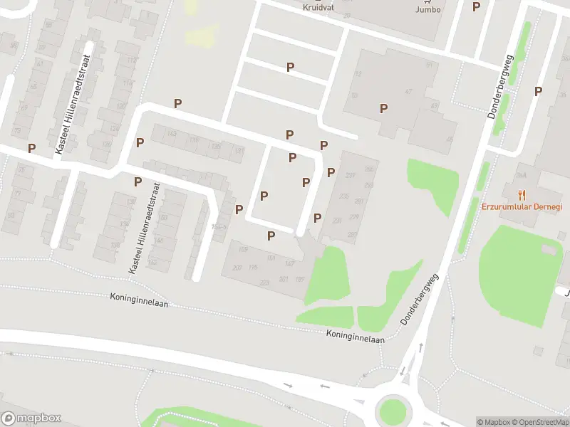 Ambulance met gepaste spoed naar de Terbaansweg in Roermond