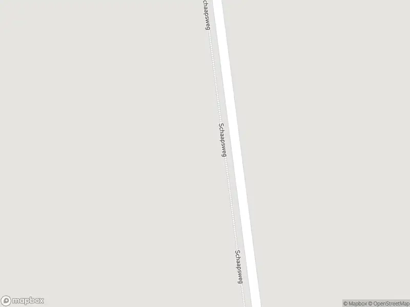 Ambulance met grote spoed naar de Schaapsweg in Den Bommel