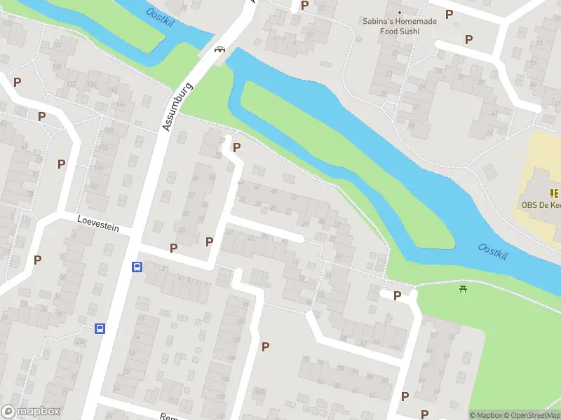 Ambulance met gepaste spoed naar de Puttenstein in Dordrecht