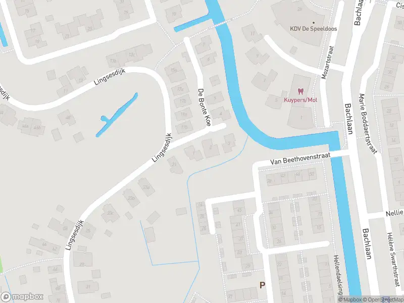 Overlastmelding De Bonte Koe in Gorinchem