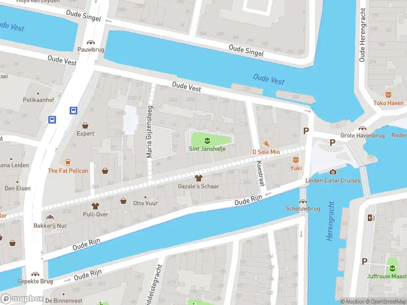 Ambulance met gepaste spoed naar de Sint Janshof in Leiden