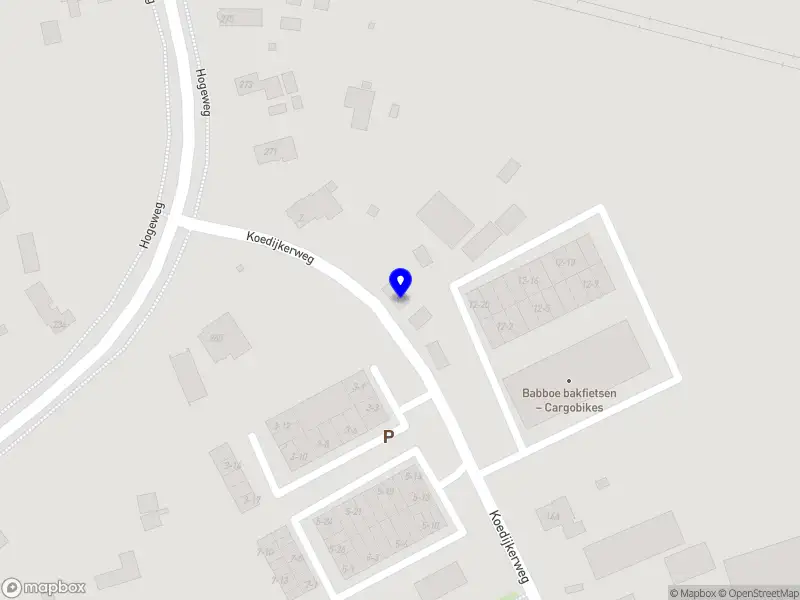 Carlex Nederland B.V.