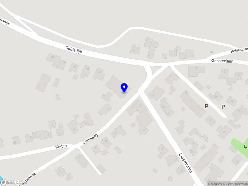 De Dakvensterspecialist