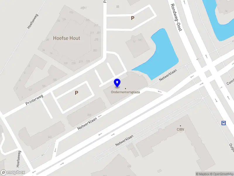 Remedie Holding Bv